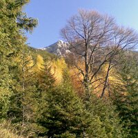 Herbststimmung | 25.10.2008 | 15:27 Uhr