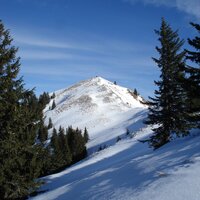 Seekarkreuz | 28.12.2009 | 12:04 Uhr