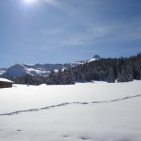 Rechts der Wolfendorn | 27.03.2010 |  9:03 Uhr