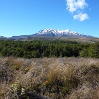 Mount Ruapehu | 24.12.2011 |  9:39 Uhr