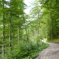 Zur Höllentalklamm | 08.08.2012 |  8:48 Uhr