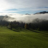 An der Schießlingalm | 14.10.2012 |  8:41 Uhr