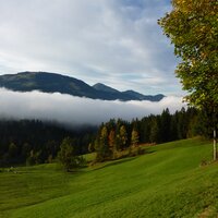 An der Schießlingalm | 14.10.2012 |  8:41 Uhr