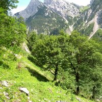 Stuhlköpfe aus dem Tortal | 15.08.2013 | 14:35 Uhr