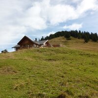 Stepbergalm - 1583m | 21.10.2013 | 11:43 Uhr