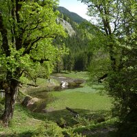 Beim Seelein | 21.05.2014 | 10:46 Uhr