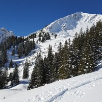 Hinteres Sonnwendjoch von der Wildenkaralm | 22.01.2016 | 12:17 Uhr