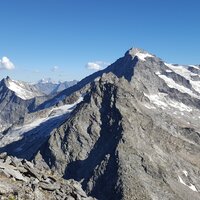 Großer Löffler | 26.08.2016 | 17:13 Uhr