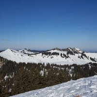 Seekarkreuz | 29.01.2017 | 13:36 Uhr