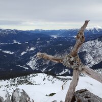 Stuibenkopf | 05.02.2017 | 12:09 Uhr