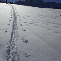 Am Lerchkogel-Niederleger | 19.02.2017 | 12:32 Uhr