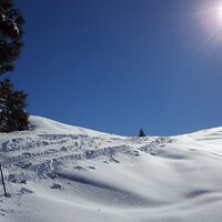 Nina am Lerchkogel-Hochleger | 19.02.2017 | 13:23 Uhr