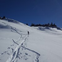 Nina am Lerchkogel-Hochleger | 19.02.2017 | 13:27 Uhr