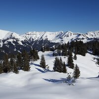 Demeljoch | 19.02.2017 | 13:51 Uhr