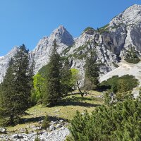 Oberreintal | 28.05.2017 | 11:03 Uhr