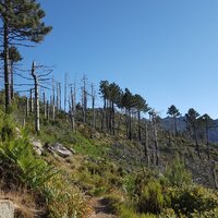 Waldbrandgebiet | 14.06.2017 | 18:33 Uhr