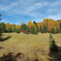 Herbst am Weißhorn | 17.10.2017 | 13:46 Uhr