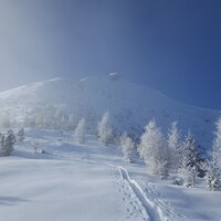 Seekarspitze | 03.12.2017 | 11:13 Uhr