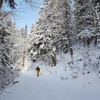 Benjamin beim Aufstieg zur Rotwand | 13.12.2017 |  9:10 Uhr