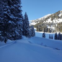 Alpbachtal | 13.12.2017 | 13:50 Uhr