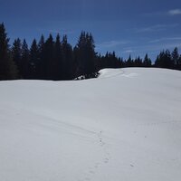 Noch ordentlich Schnee | 02.04.2018 | 12:58 Uhr