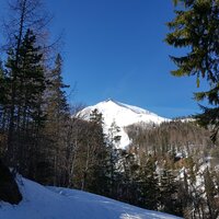 Seekarspitze | 24.03.2019 |  8:51 Uhr