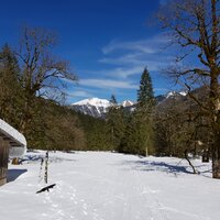 An der Tortalalm | 30.03.2019 | 12:36 Uhr