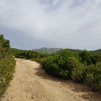 Schönes Laufgelände | 09.06.2019 |  9:47 Uhr