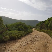 Schönes Laufgelände | 09.06.2019 |  9:47 Uhr