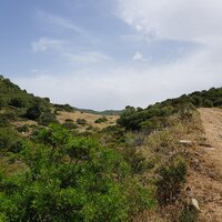 Steinhaus nahe des Ausgangspunkts | 09.06.2019 | 11:11 Uhr