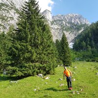 Rami beim Abstieg | 30.06.2019 | 17:40 Uhr