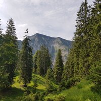 Halserspitze | 27.07.2019 |  9:42 Uhr