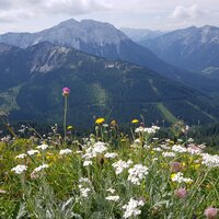 Guffert und Unnütz | 27.07.2019 | 10:46 Uhr