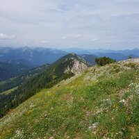 Blaubergkamm | 27.07.2019 | 10:47 Uhr