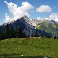 Erlspitze | 30.08.2019 | 12:19 Uhr