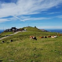 Hörnlehütte | 29.09.2019 | 14:22 Uhr