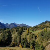 Peterbauernalm | 13.10.2019 | 11:10 Uhr