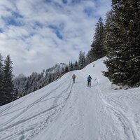 Plötzlich reißt der Himmel auf | 31.01.2021 | 14:27 Uhr