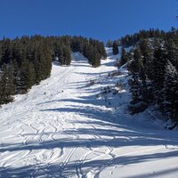 Westflanke des Röthenstein | 13.02.2021 | 14:17 Uhr