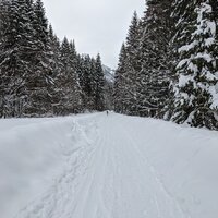 Anmarsch vom Parkplatz Linderhof | 21.03.2021 |  9:17 Uhr