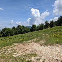 Nach sehr langem Aufstieg über Forststraßen erreiche ich Almgelände | 10.06.2021 | 12:23 Uhr