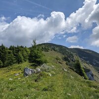 Am Westrücken | 10.06.2021 | 12:35 Uhr