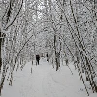 Ausreichend Schnee | 23.01.2022 |  8:59 Uhr