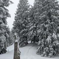 Skiwanderung | 23.01.2022 | 10:52 Uhr