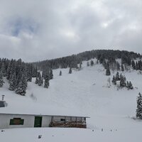 Abfahrt von der Aberg-Alm | 23.01.2022 | 11:46 Uhr