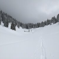 Weissenalm | 23.01.2022 | 11:46 Uhr