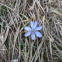 Der Frühling naht | 20.03.2022 | 14:27 Uhr