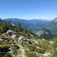 Schöner aber mühsamer Abstieg über den Schärdinger Steig | 02.07.2022 | 16:33 Uhr