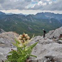 Abstieg zum Schweizertor | 01.08.2022 | 18:32 Uhr