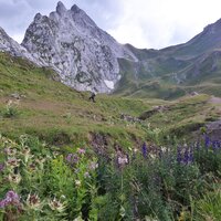 Abstieg zum Schweizertor | 01.08.2022 | 19:16 Uhr